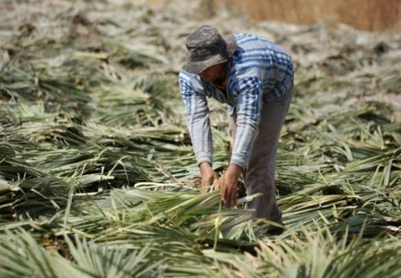 Piauí é primeiro no ranking nacional do trabalho escravo